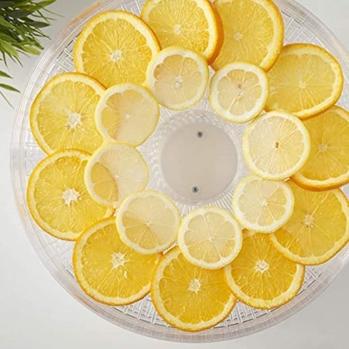 MisterChef Individual Tray for 'Food Dehydrator'